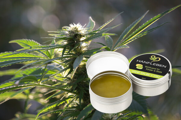 Deal im September - Deal im September