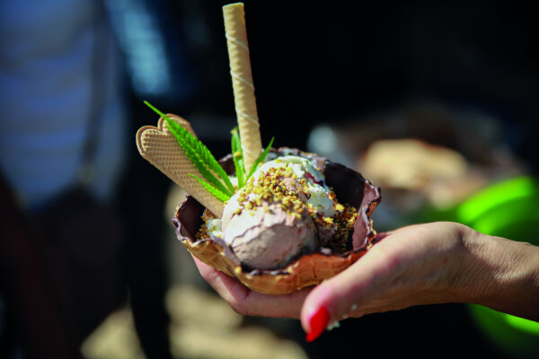 6 gute Gründe für eine Ernährung mit Hanfprodukten - 6 gute Gründe für eine Ernährung mit Hanfprodukten