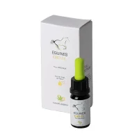 EQUINES CBD ÖL 10%
